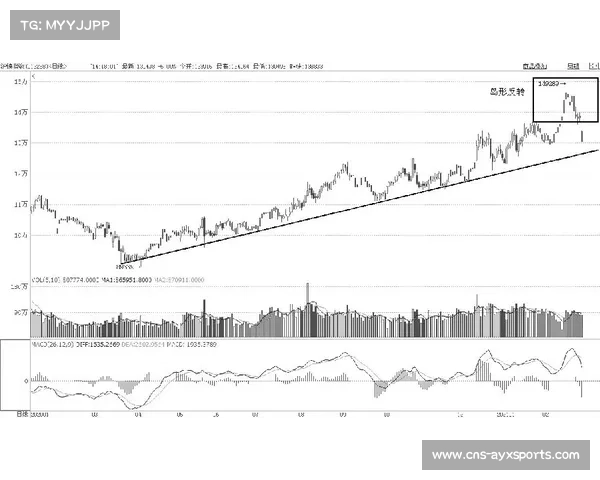 山本由伸:连飚三振,状态逐步升温 山本由伸:连飚三振,状态逐步升温